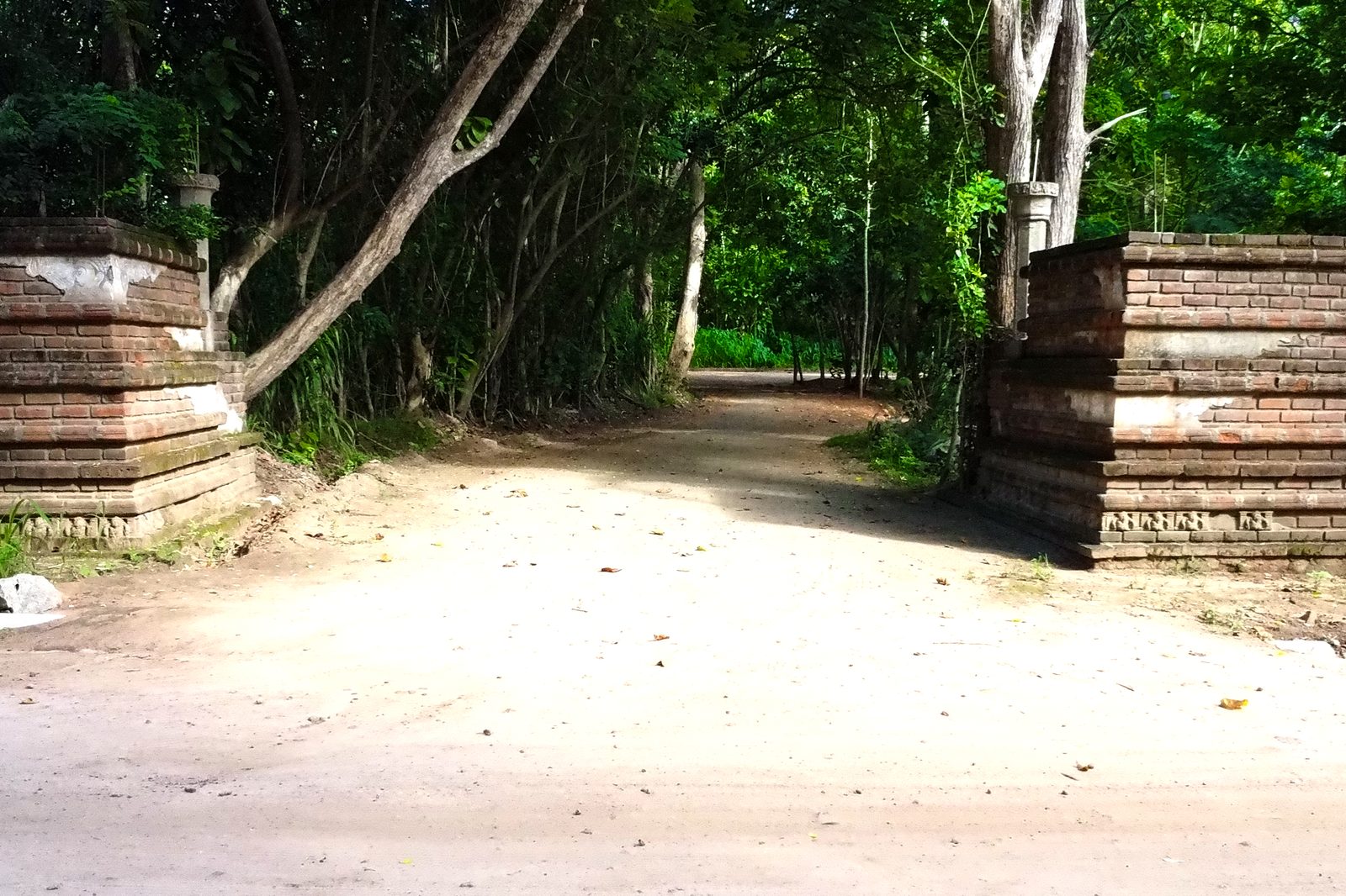 Forest path through the grounds