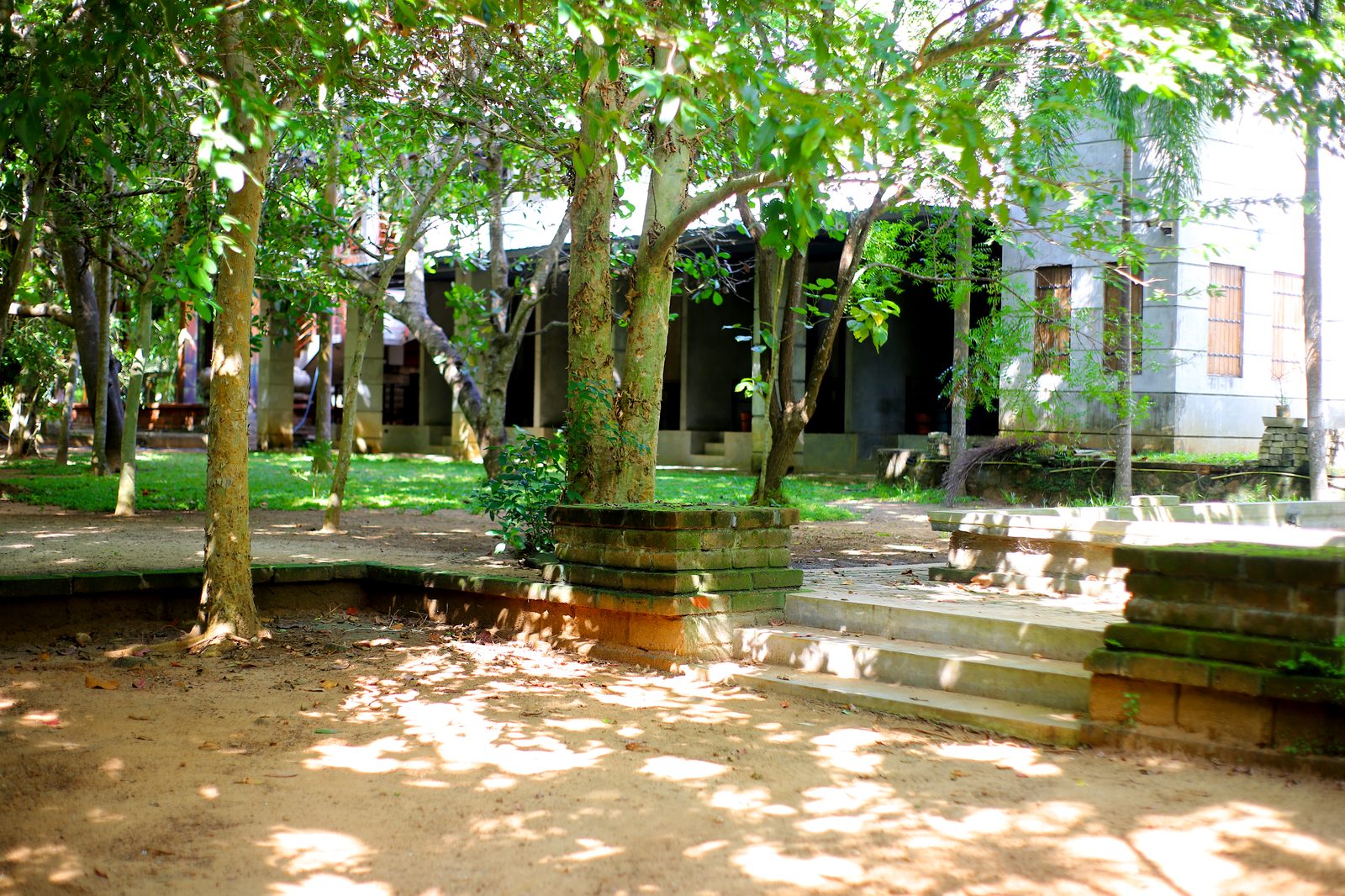 Forest surrounding Saliyawewa Cabins